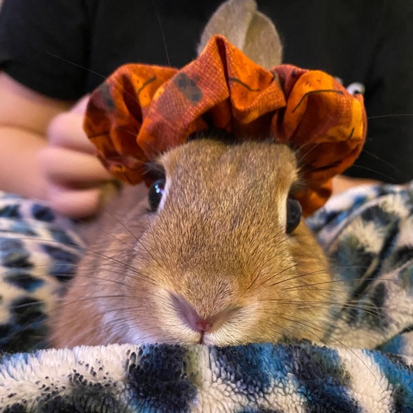 Handmade autumn 🍂 scrunchie! - Picture 4 of 4